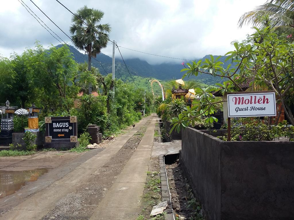 Molleh Guest House Pemuteran Екстериор снимка