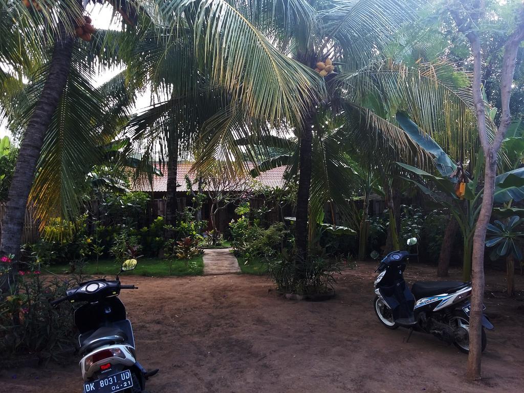 Molleh Guest House Pemuteran Екстериор снимка