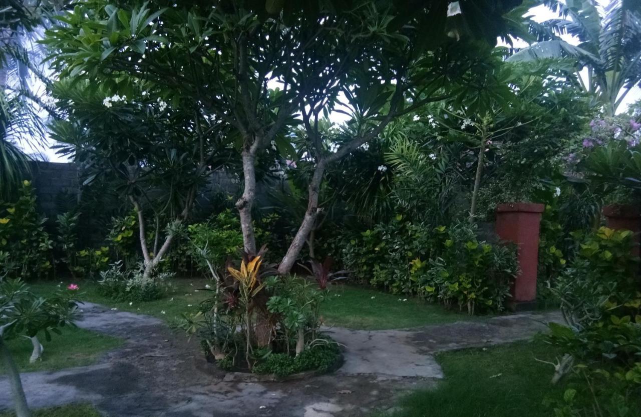 Molleh Guest House Pemuteran Екстериор снимка